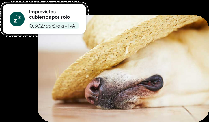 Servicio de Valor añadido