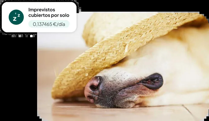 Servicio de Valor añadido