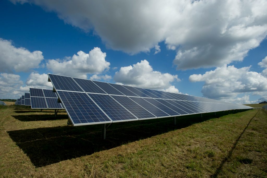 paneles solares en un parque solar